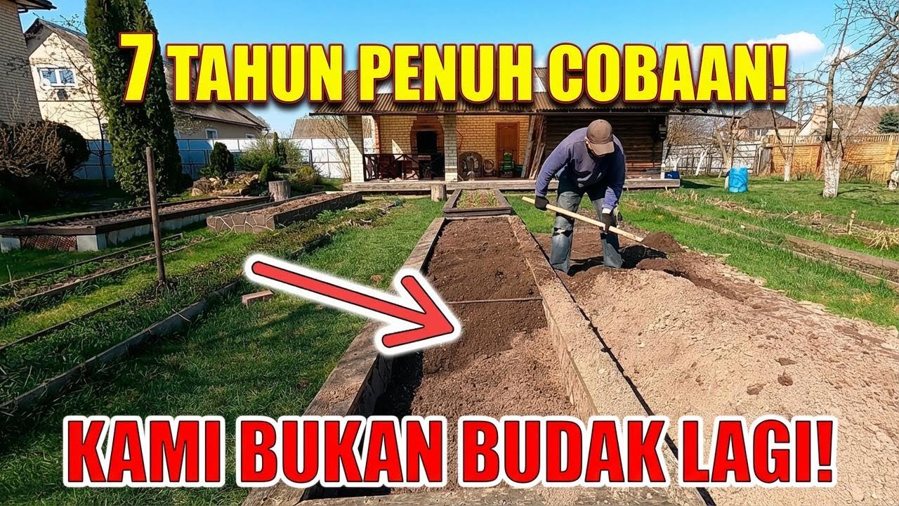 Bikin Bedeng Tinggi & Hangat Sendiri! Rahasia Mudah, Panen Pasti Melimpah!
