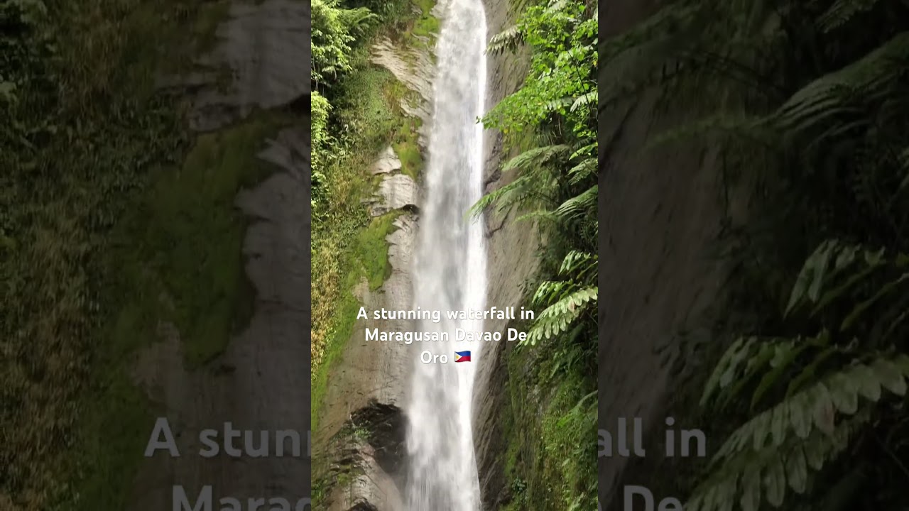Pyalitan Falls. Maragusan Davao De Oro Philippines #pyalitanfalls#maragusan#nature#travelvlog#shorts