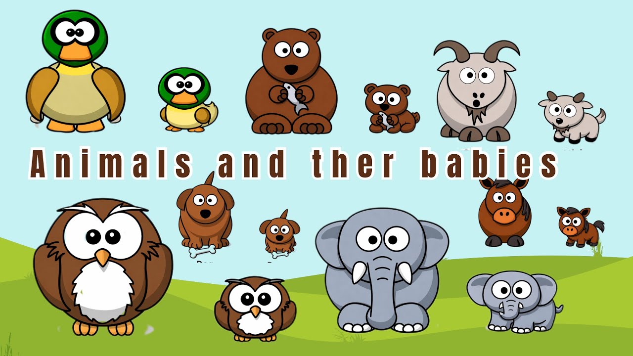 Animals and their babies: puppies, infant, kittens, calf, foal - Animals
