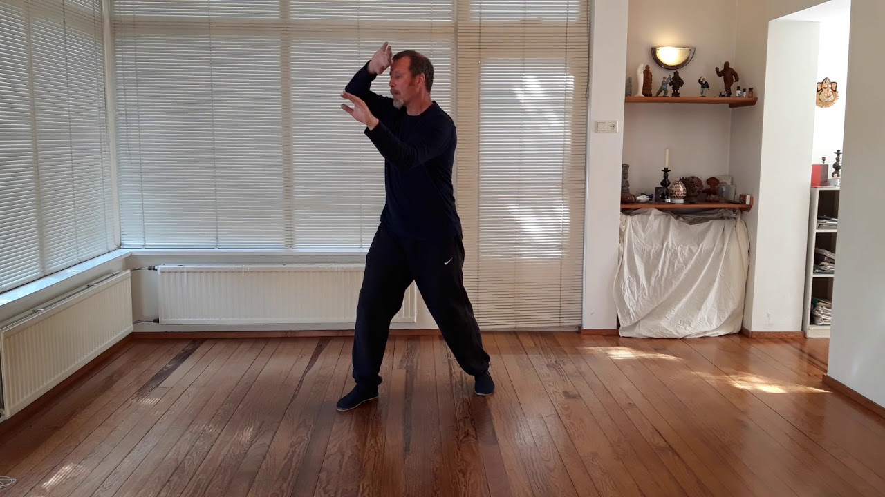 Cheng Hsin Tai Chi Chuan 64 set with Rob van Ham