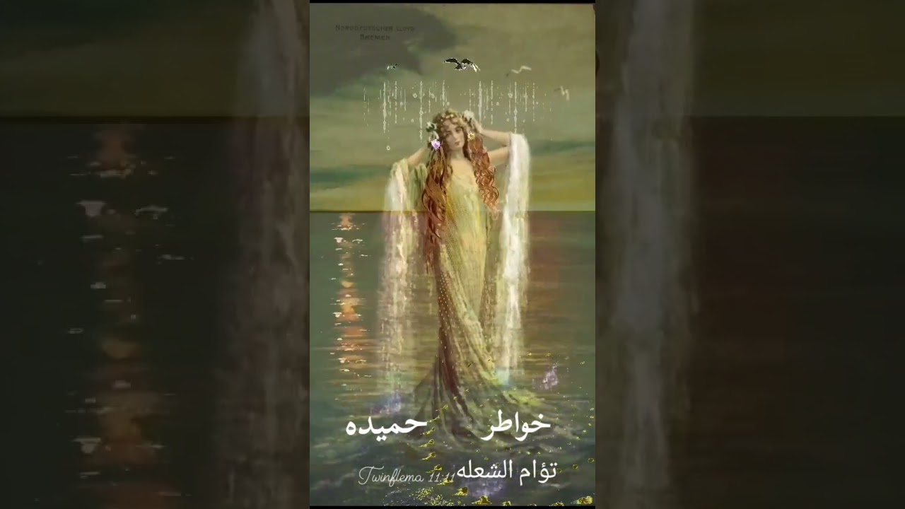 انفصال الهارب عن الطرف الثالث  ورساله قويه من الهارب للمطارد  الشعله اجباري وليست إختياري 🍬🤣