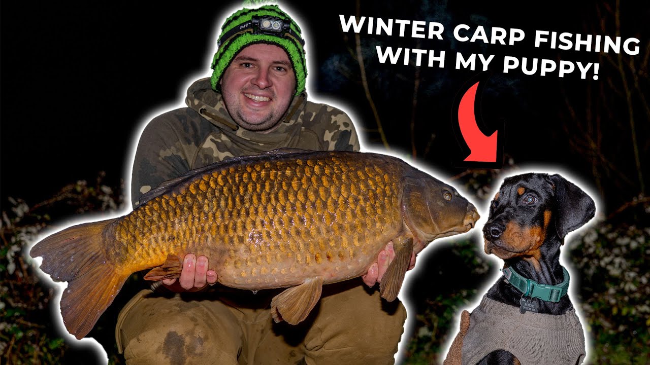 Catching Winter Carp with my PUPPY! | CineCarp TV | Tom Maker
