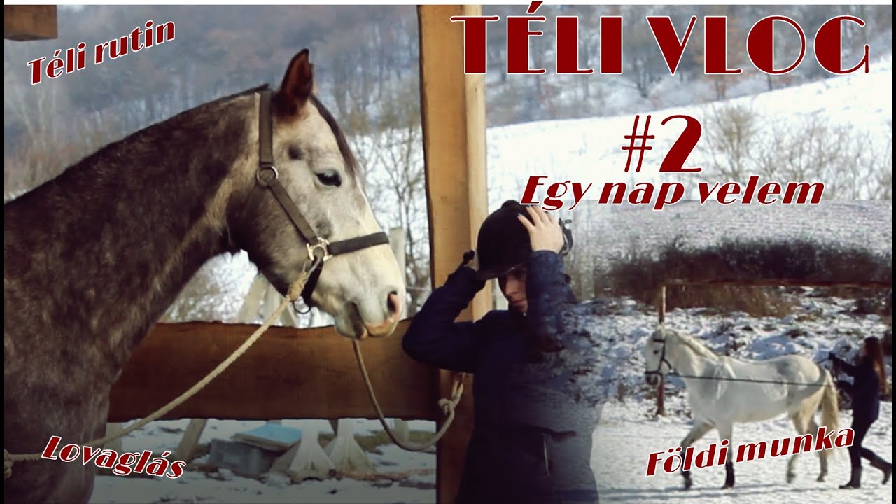 TÉLI VLOG #2 Egy nap velem