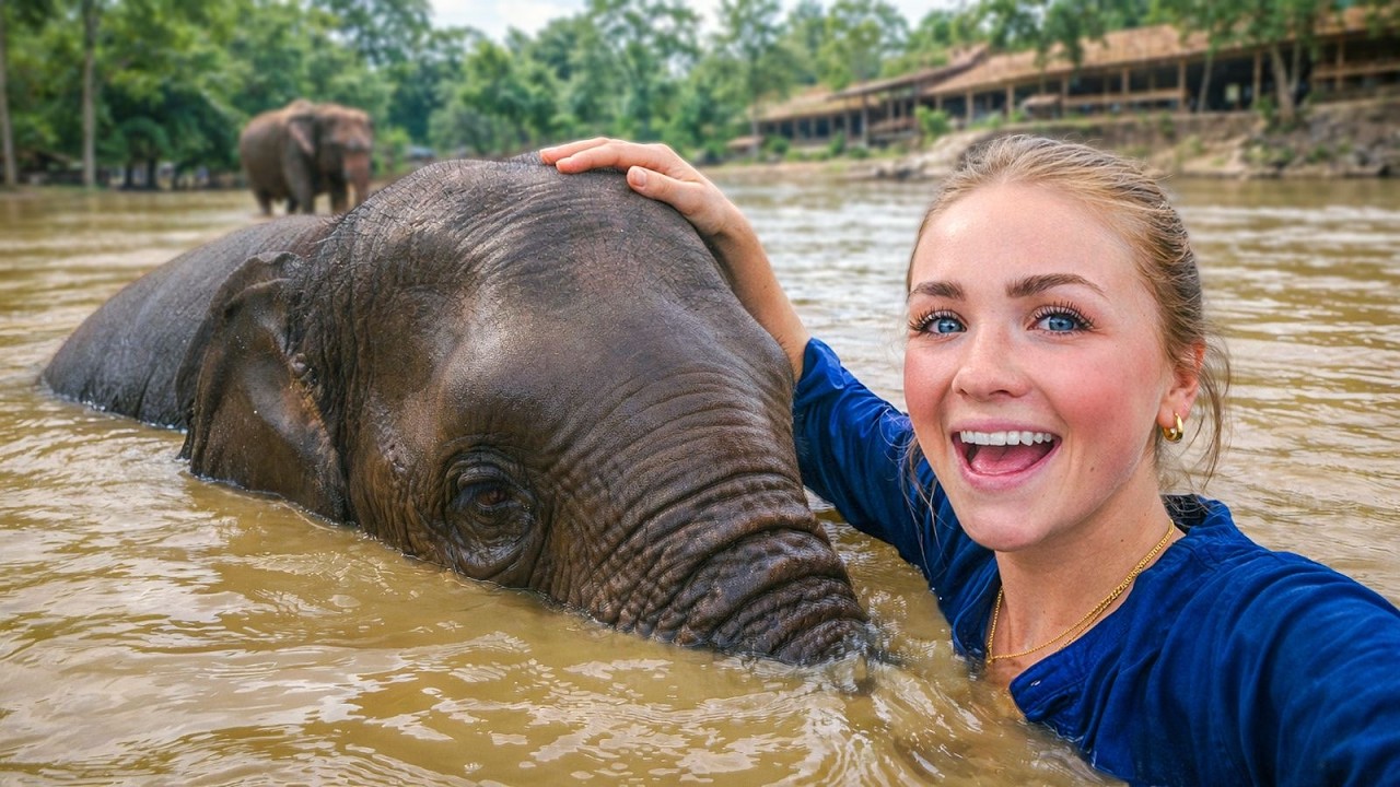 We Swam With Elephants! (with the Ninja Fam)