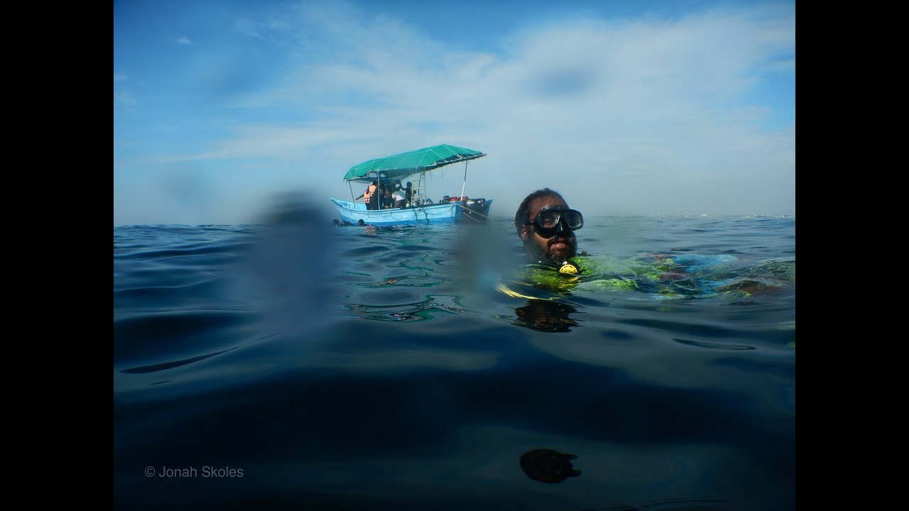 The Blue Waters of Pondicherry. Through the eyes of Jonah