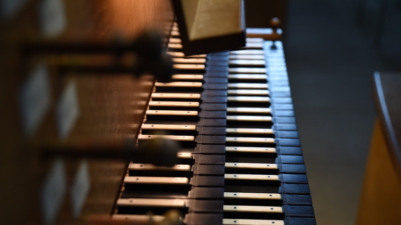 J. S. Bach - Toccata d - Moll BWV 565 | Leon Immanuel Sowa#23