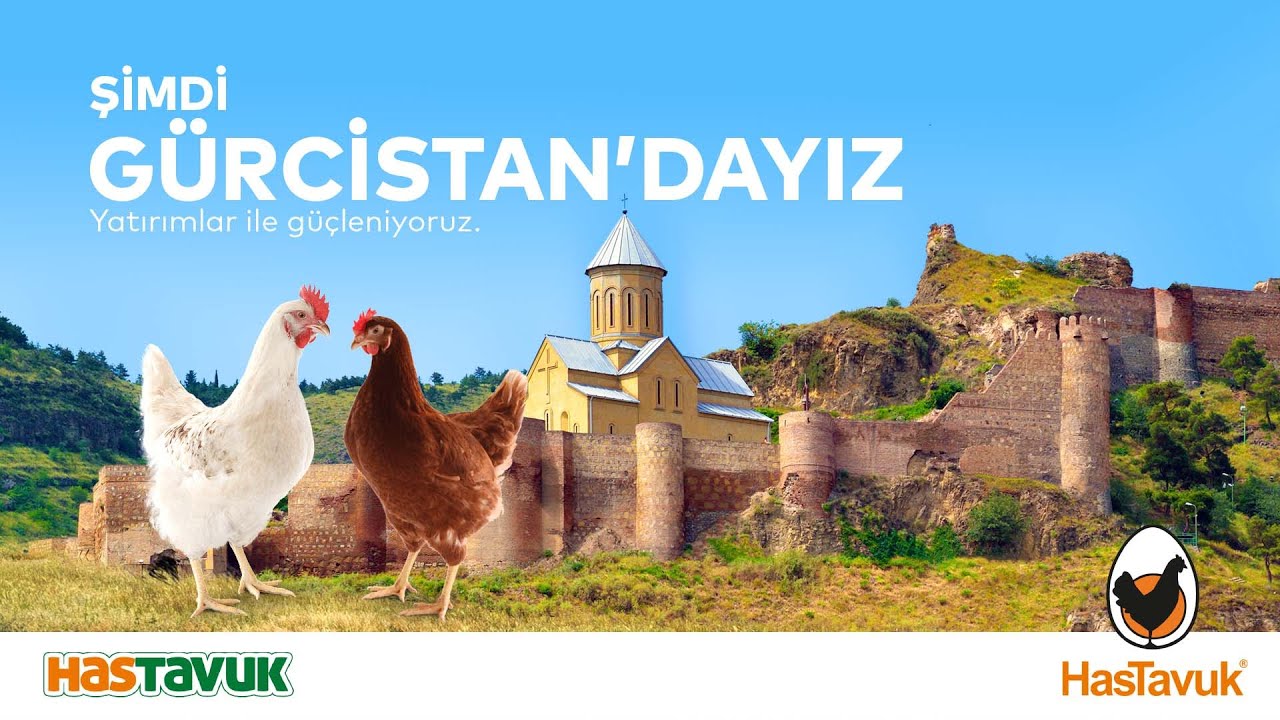 HasTavuk Şimdi Gürcistan'da!