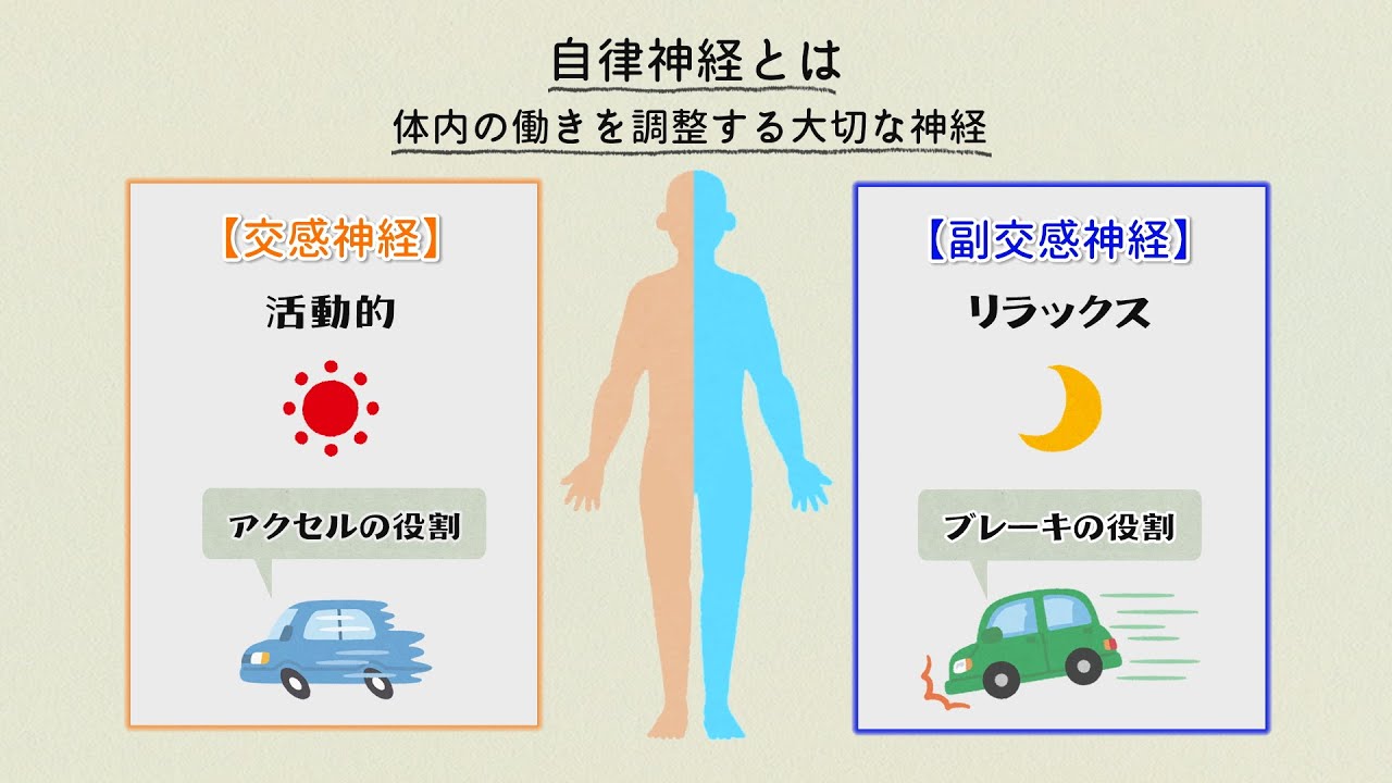 いきいき健康情報「自律神経を整えよう」（令和8年2月）