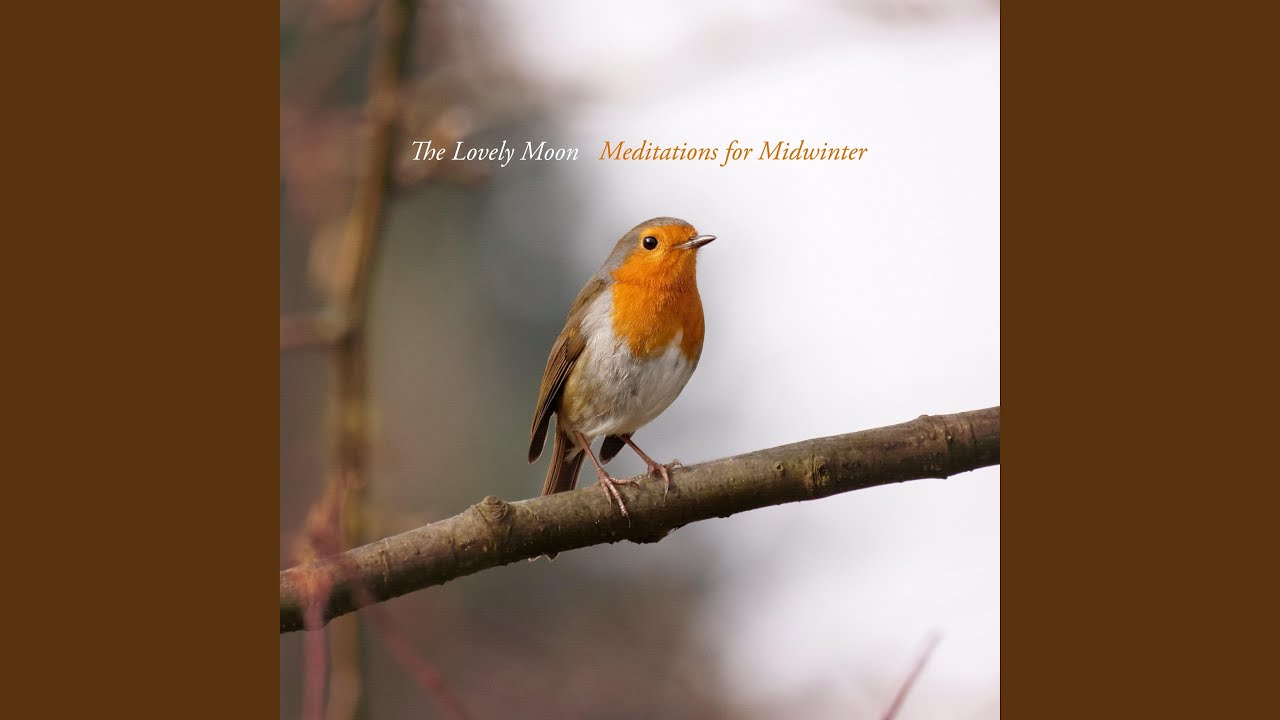 Midwinter Meditation