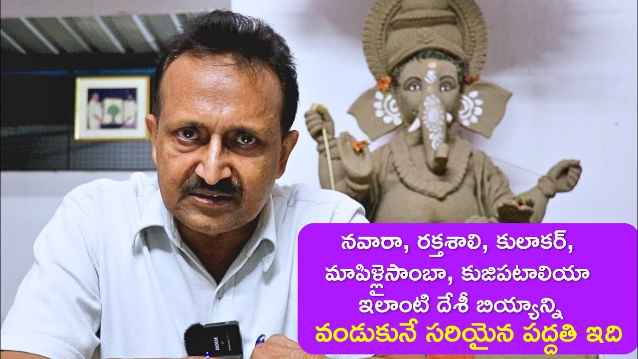 నవారా, రక్తశాలి, కులాకర్, మాపిళ్లైసాంబా, కాలాబట్ ఇలాంటి దేశీ బియ్యాన్ని వండుకునే సరియైన పద్దతి ఇది