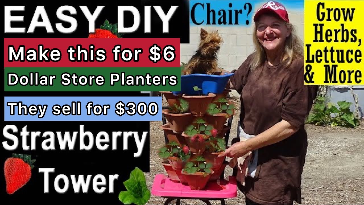 How to Make a Dollar Store Strawberry Tower, Grow Tons of Strawberries Vertical Container Gardening
