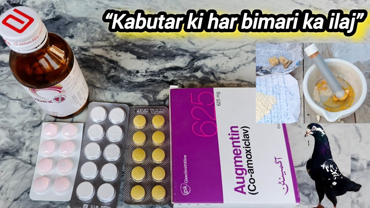   کی صحت کا مکمل علاج اور احتیاطی تدابیر 💯👍