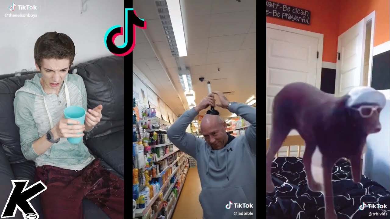 TikToks to watch while you're on the toilet v3