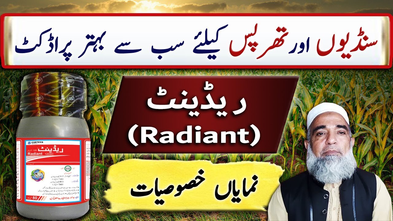 Radient Arysta, a safe Organic Insecticide || Crop Reformer