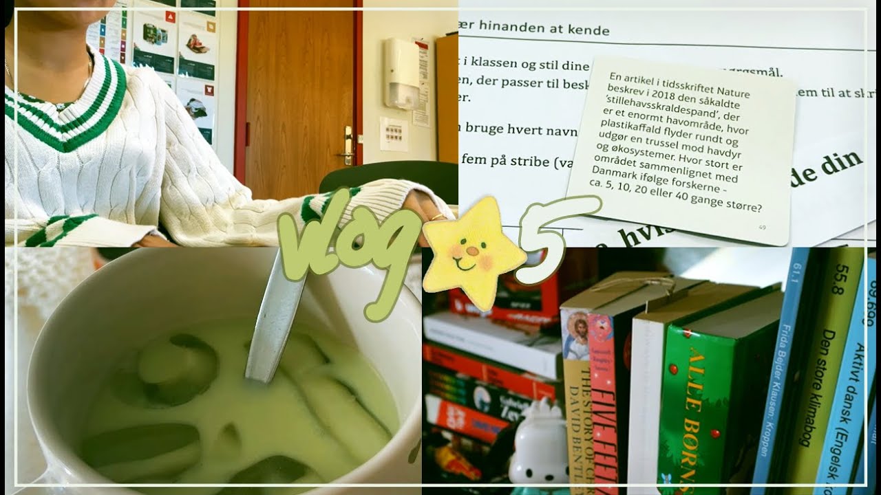 vlog 5 - days with me: language school, tidying up and sushi!