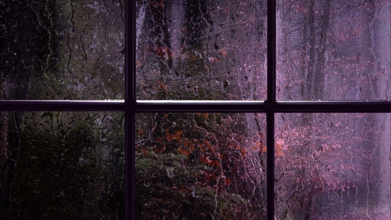 „you are in love“ by Taylor Swift but you’re next door and it’s raining