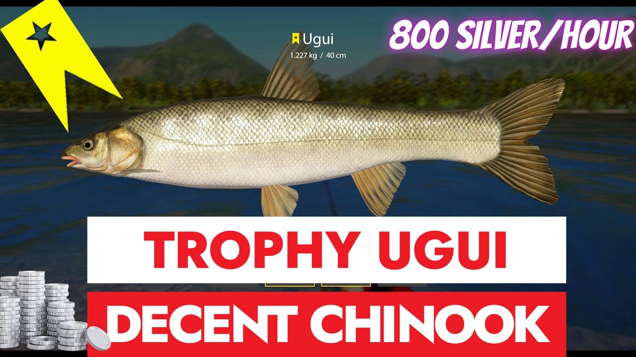 RF4 - RUSSIAN FISHING 4  - TROPHY UGUI AND A DECENT CHINOOK SALMON - 800 SILVER IN ONE HOUR