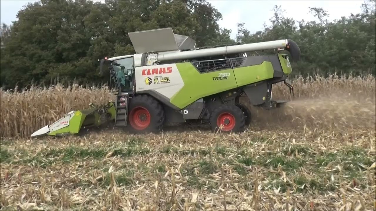 mais dorsen Claas Trion 730 de Weer in Markelo