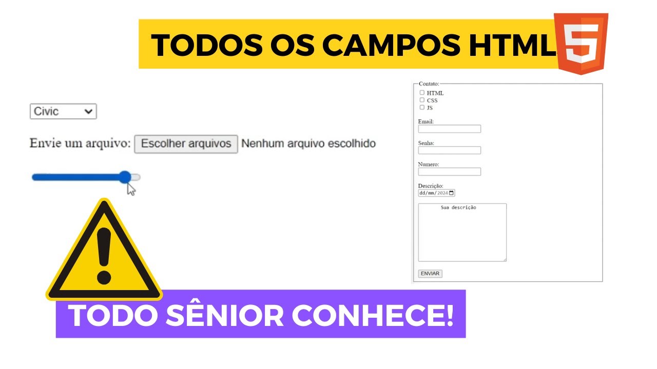 Aprenda CAMPOS de FORMUL&Aacute;RIO na pr&aacute;tica - HTML Inputs
