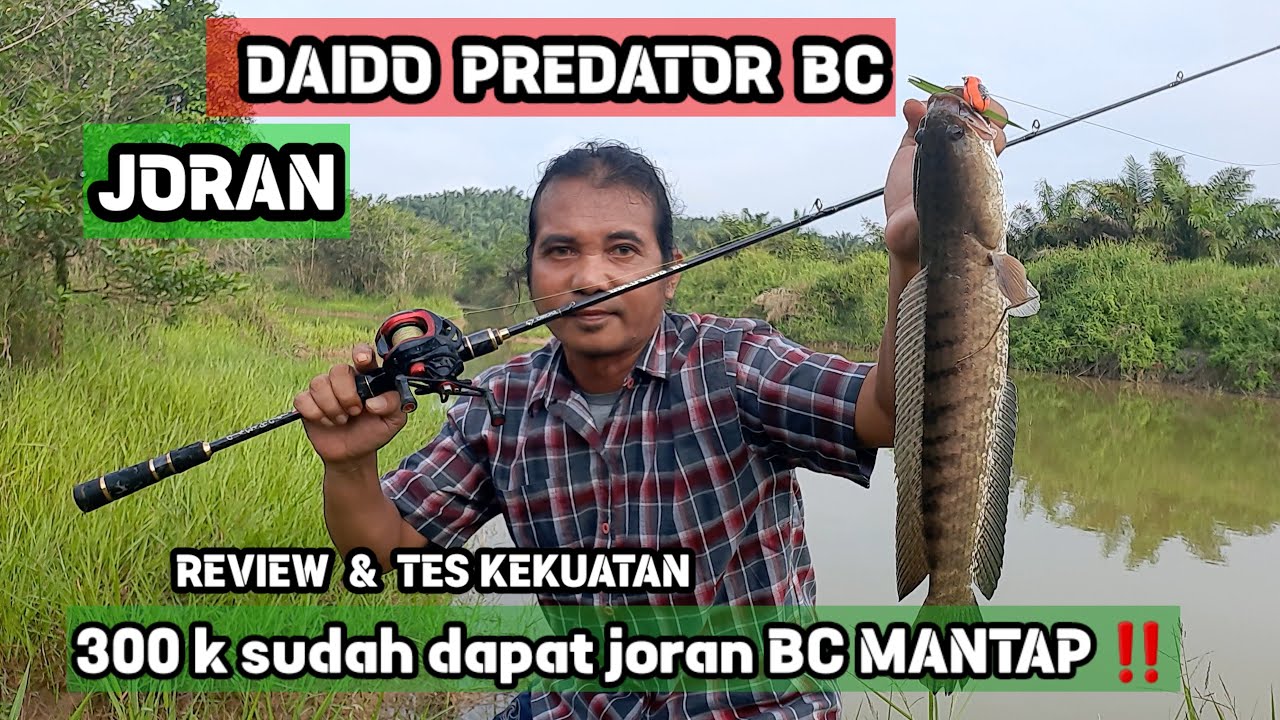 REVIEW & TEST Joran DAIDO PREDATOR BC langsung di spot mancing