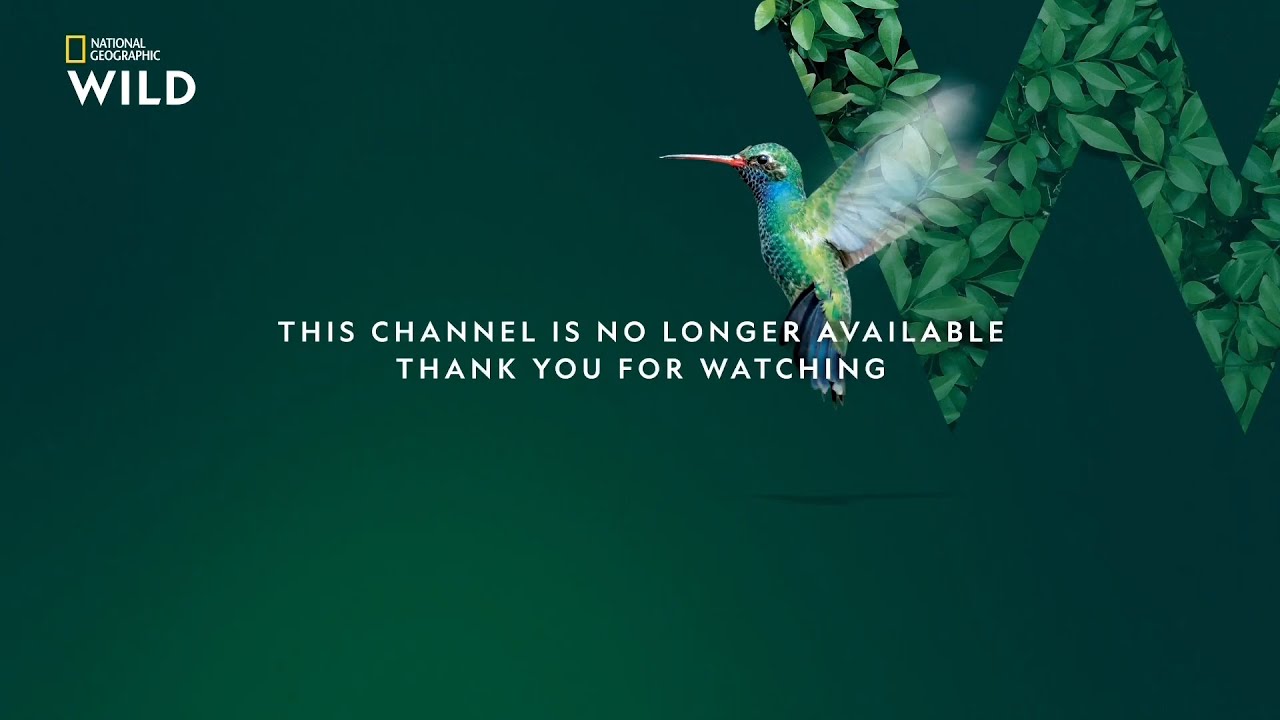 National Geographic Wild Shutdown (Vietnamese Feed)