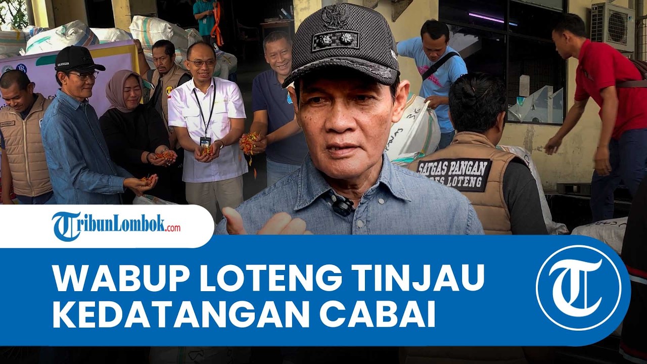 Wabup Loteng Nursiah Kawal Langsung Kedatangan 1 Ton Cabai dari Sulawesi