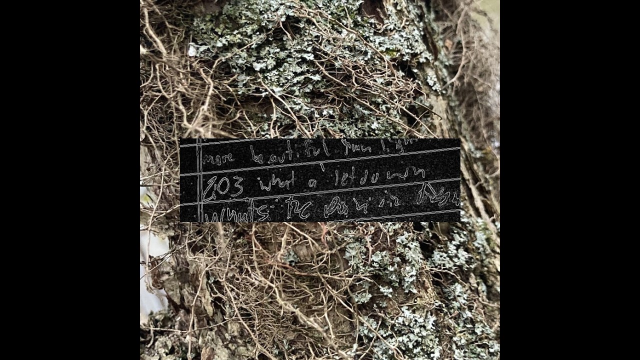 203WALdemo