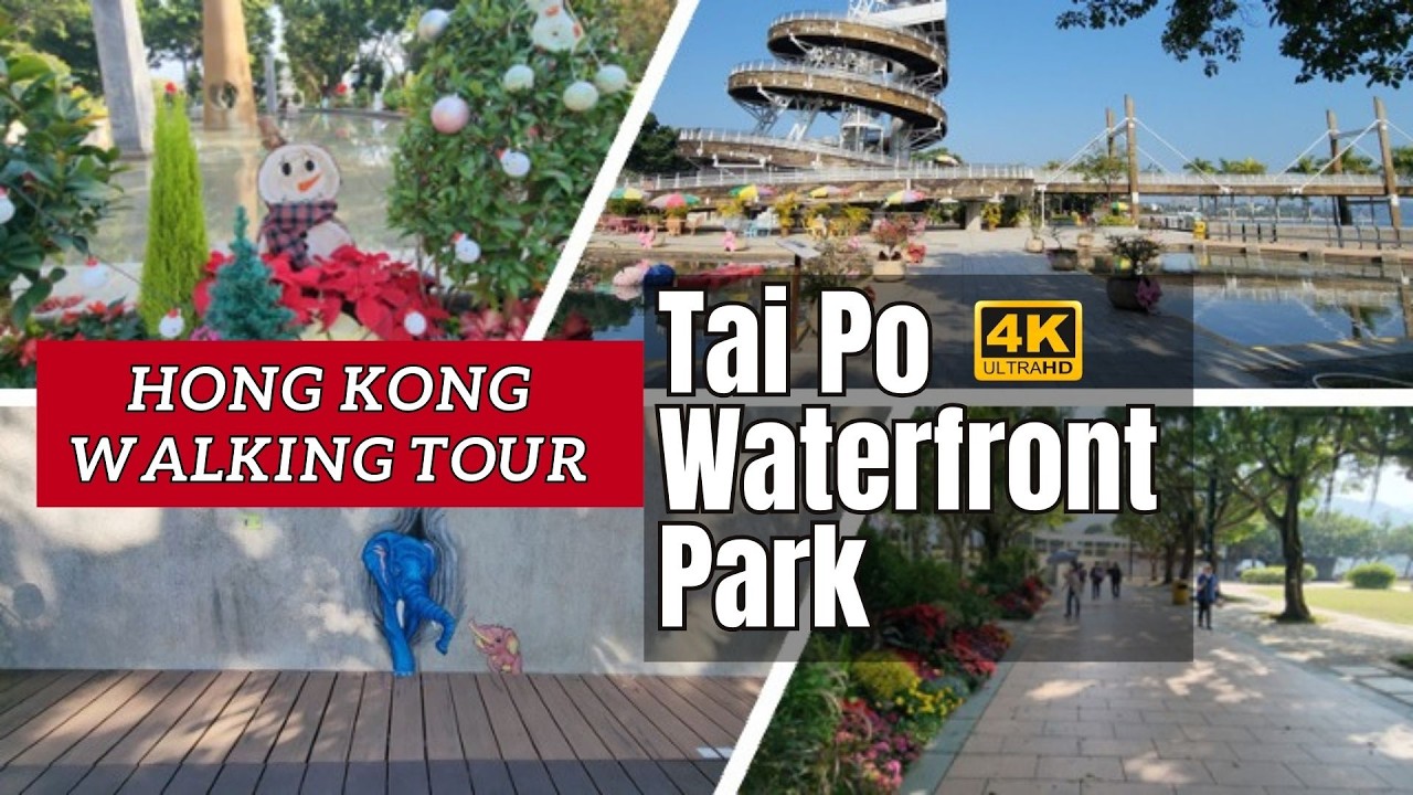 [4K] Hong Kong Walking Tour: Exploring Tai Po Waterfront Park