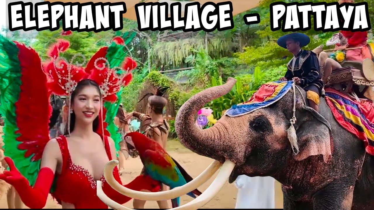 Pattaya Elephant Village 🐘 | Amazing Day with Elephants & Exotic Animals!