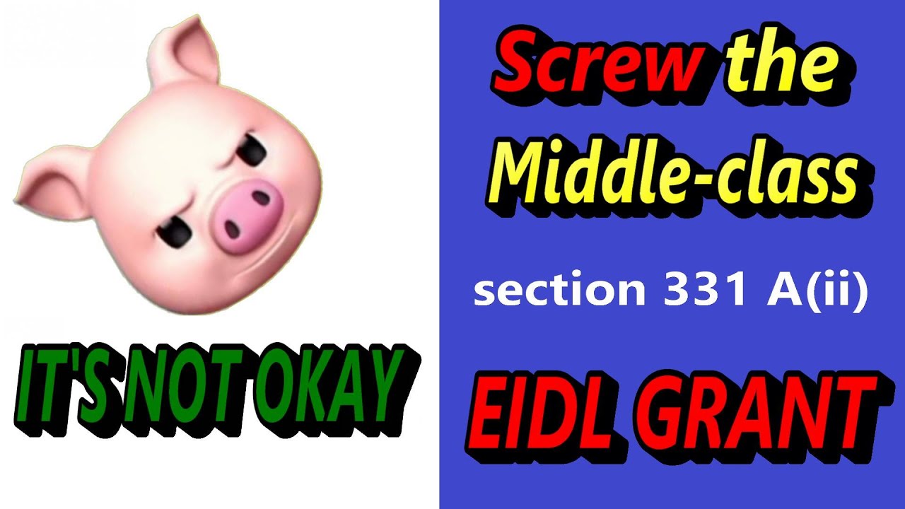 $10k EIDL GRANT - MIDDLE CLASS SMALL BUSINESSES ARE LIVID - SECTION 331 (ii) Who put this here?