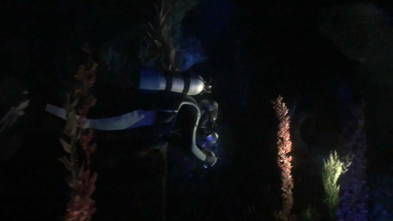 Disneyland Finding Nemo Submarine Voyage At Night Left Side 1080P