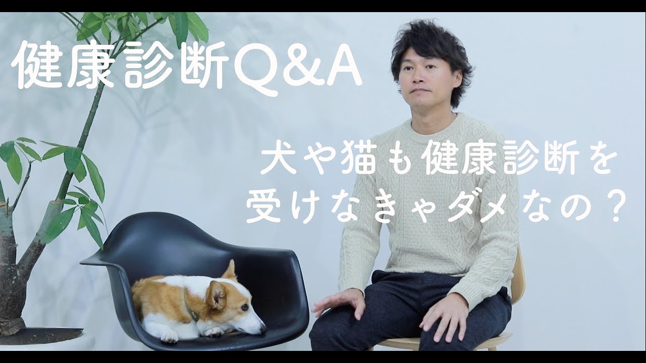 【犬や猫の健康診断】いつから気にすれば良い？目的や検査、頻度、分かることを獣医師が解説｜健康管理