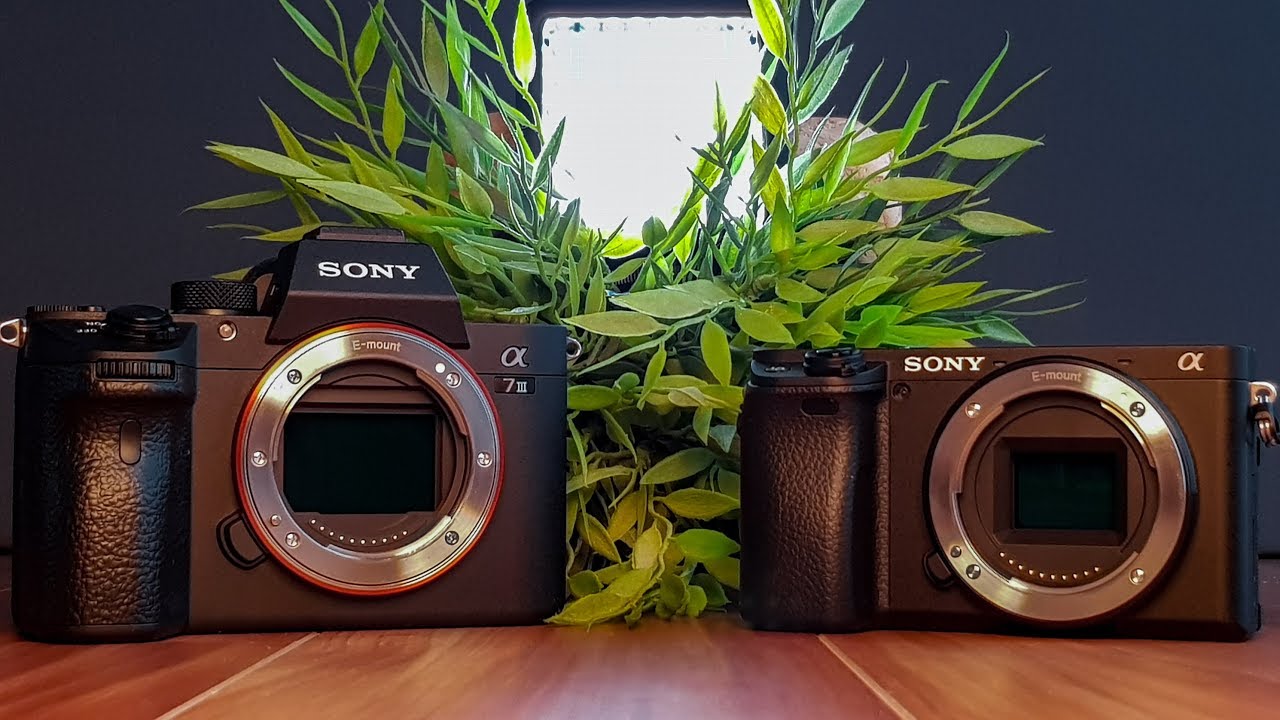 SONY LOW-LIGHT-VERGLEICH - A7III vs A6400