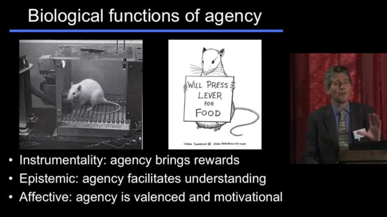Patrick Haggard (University College London): 
