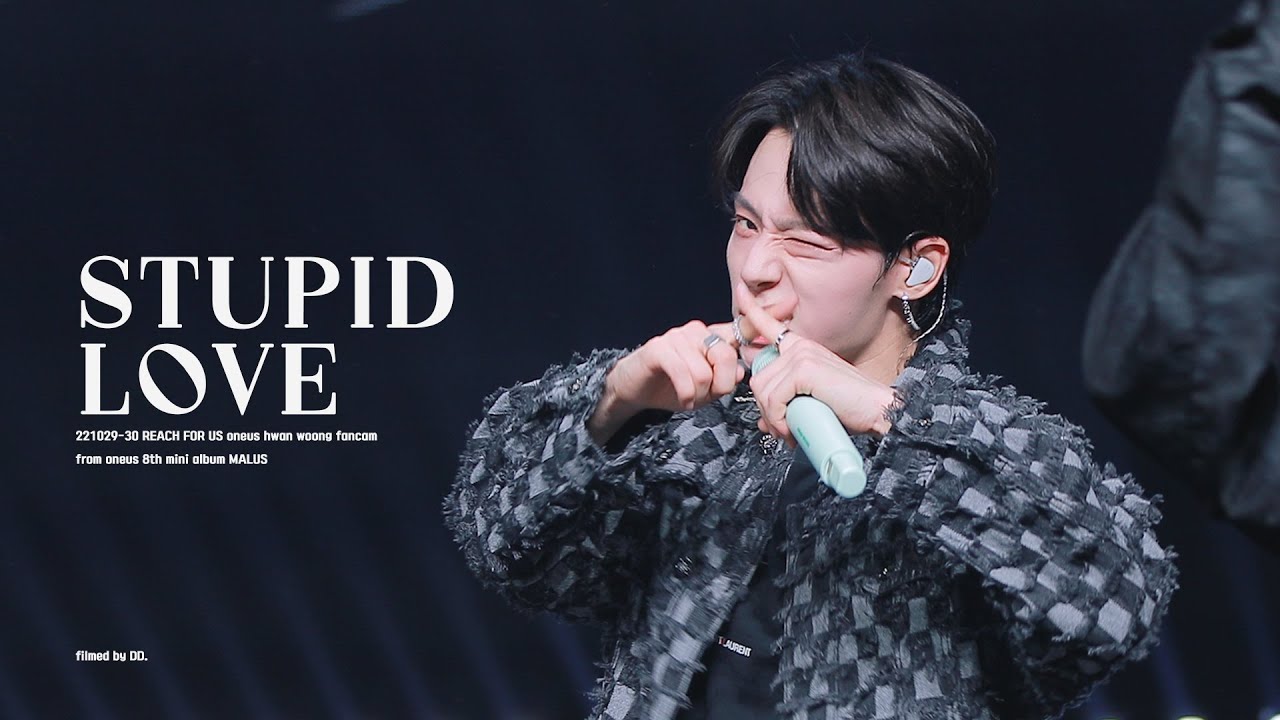 [4K] 221029-30 REACH FOR US 'STUPID LOVE' 원어스 환웅 직캠 / ONEUS HWAN WOONG focus