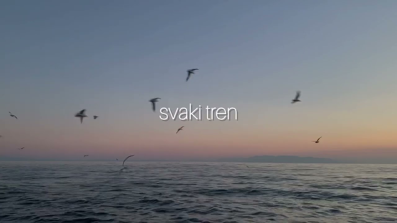 josipa lisac- da li sam ti ikad rekla da te volim (cover)