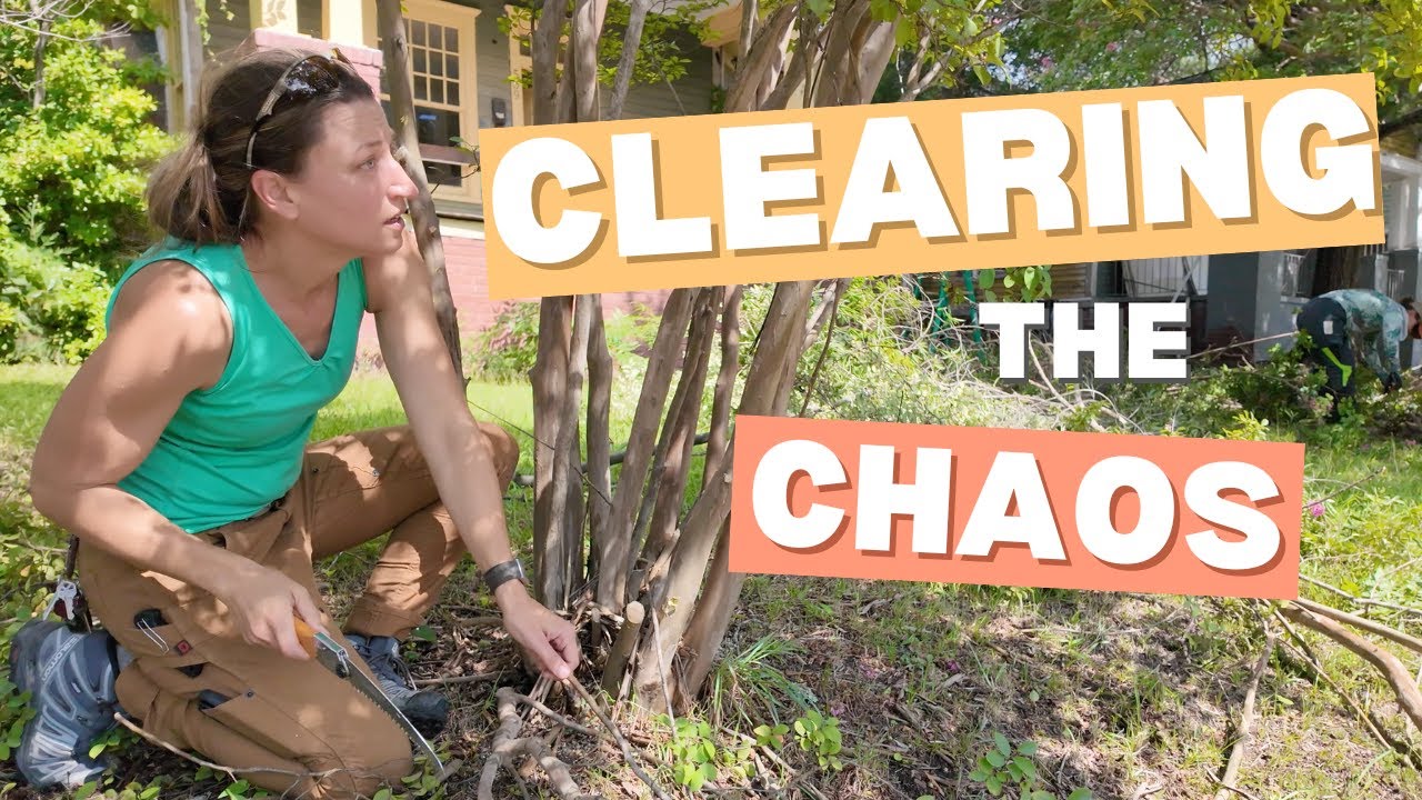 Clearing the Chaos: Tackling Overgrown Trees at Our Historic Home!