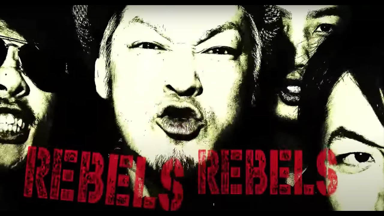 ANGER FLARES MV 