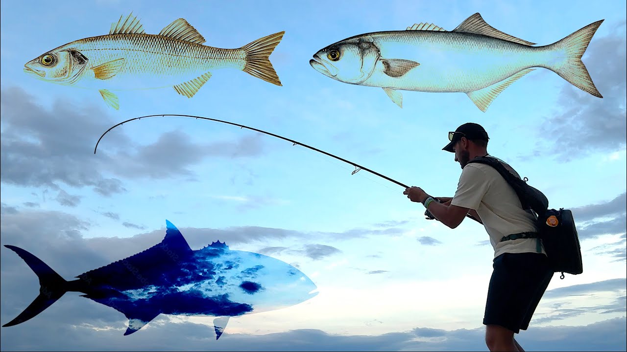 Spigola, Serra e una SORPRESA! Pesca dalla Spiaggia con Jig e Jerk: Lo Spinning in Autunno [Parte 2]