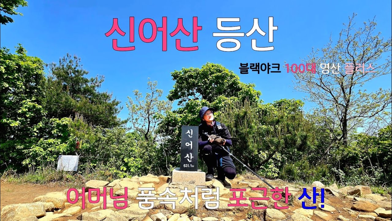신어산 등산코스|100대 명산 플러스 |달마야 놀자 촬영지 은하사|신어산 주차장|