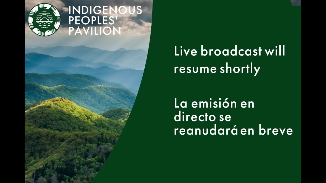 COP26 Indigenous side event