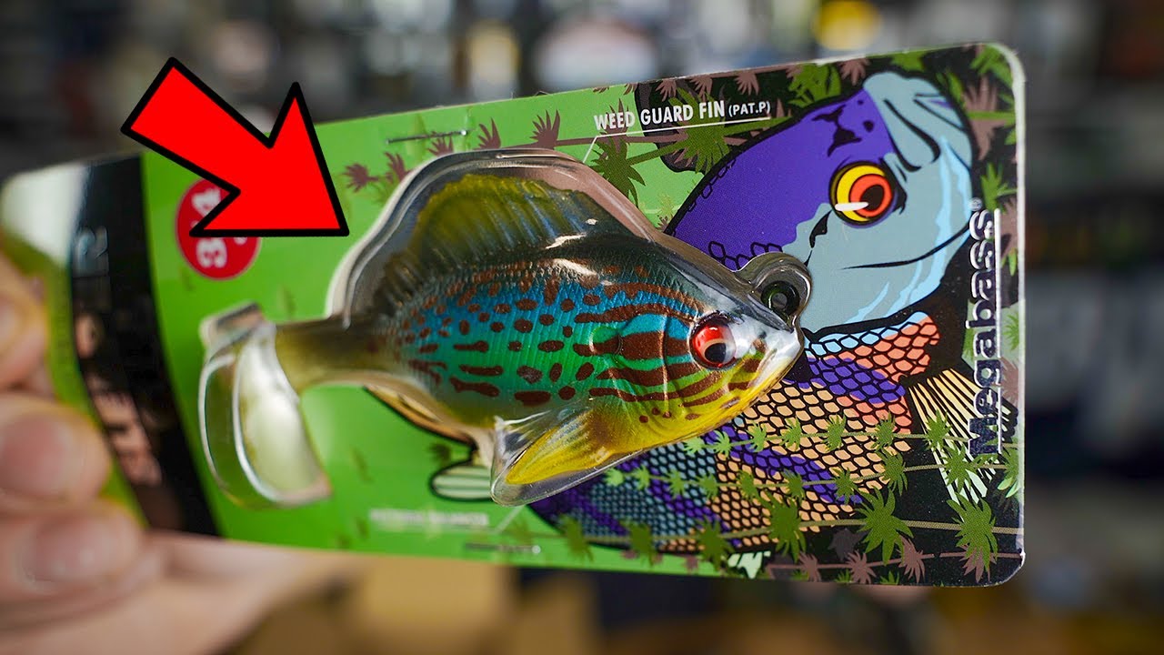 Mega Japanese Bait Unboxing + Lake Update: Megabass Sleeper Gill, Sleeper Craw and MORE BFS!