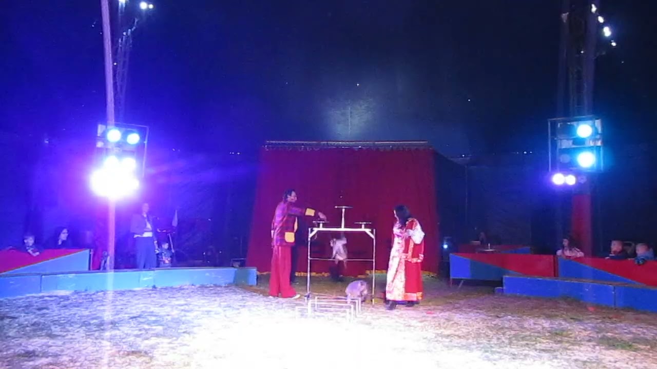 CIRKUS BEROSINI LANŠKROUN SOBOTA 19. DUBNA 2025