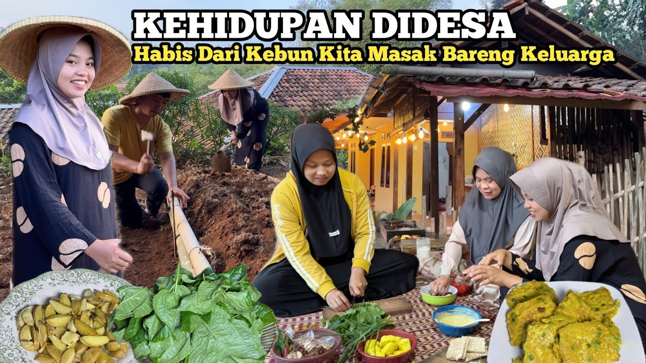 KEHIDUPAN DIDESA‼️BERKEBUN DIDESA, MASAK MAKAN MALAM BARENG KELUARGA