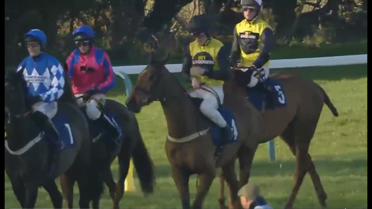RACE NO -04 FONTWELL UK 22 FEB 2026