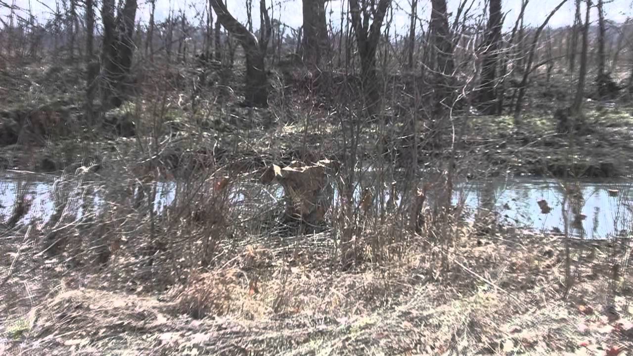 Product Review Muddy Water Camo