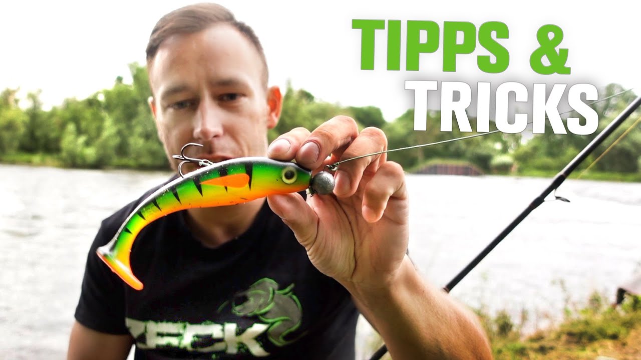 Spinnfischen auf Wels | TIPPS und TRICKS