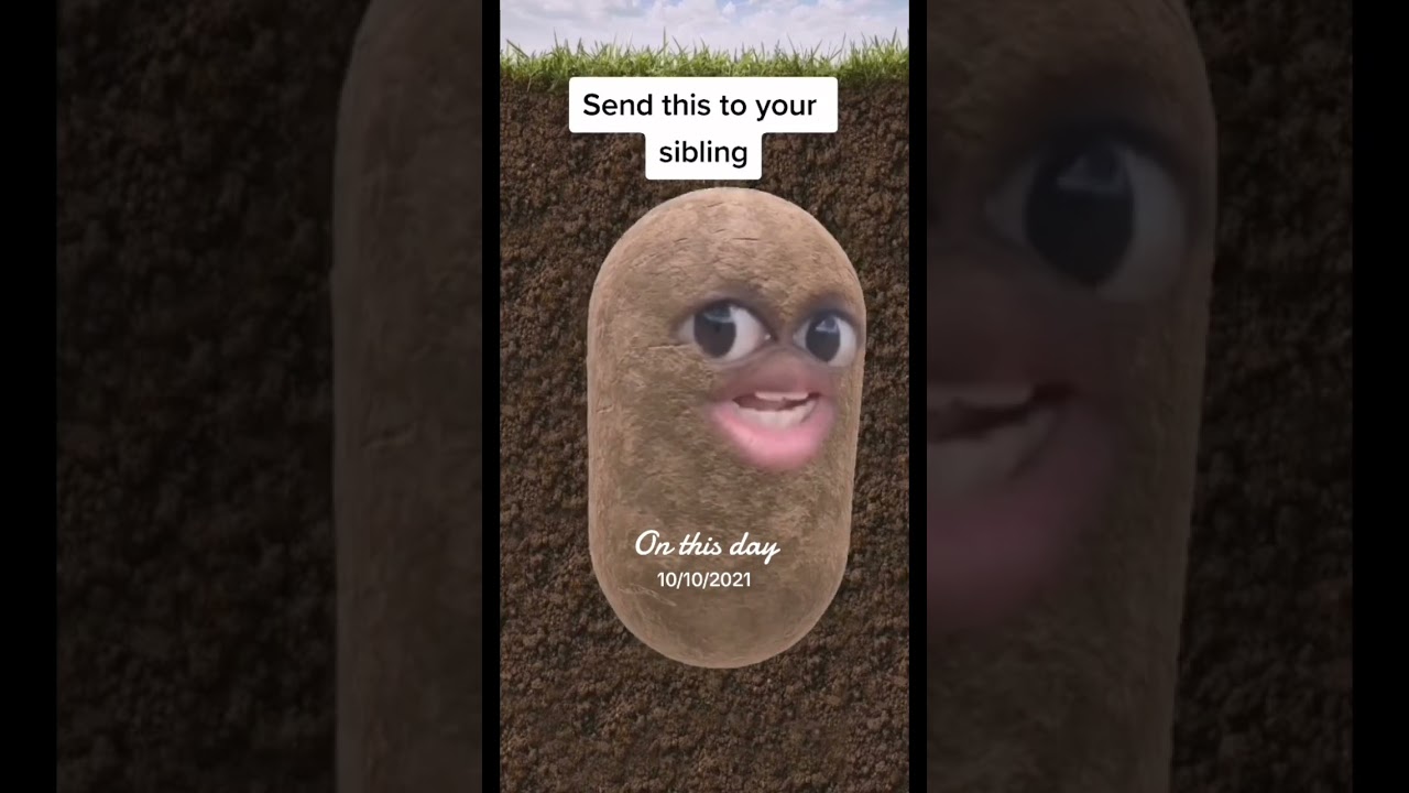Send this to your sibling #tiktok #funny #relatable #comedy #relatablecontent #shortsvideo #shorts