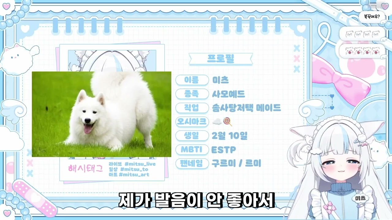 똑똑하다고 주장하는 스트리머 (미츠)