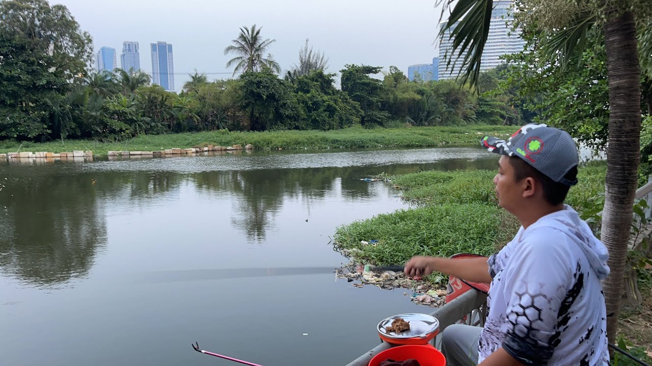 C&Acirc;U C&Aacute; THI&Ecirc;N NHI&Ecirc;N NGAY CẠNH NH&Agrave;, HƠI BỊ PH&Ecirc; LU&Ocirc;N